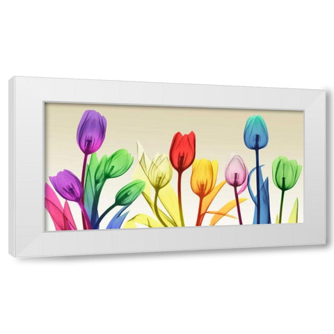 Floral Rainbow Splurge White Modern Wood Framed Art Print by Koetsier, Albert