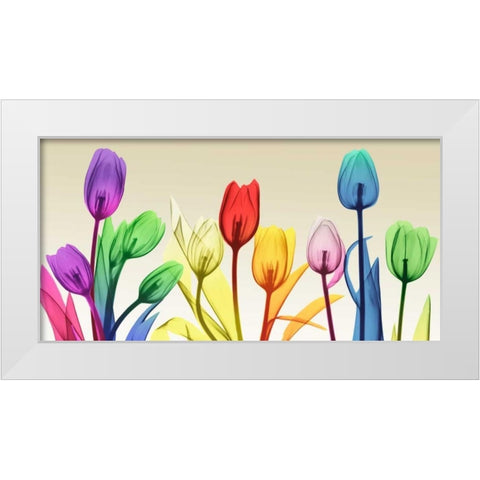 Floral Rainbow Splurge White Modern Wood Framed Art Print by Koetsier, Albert