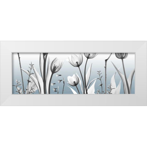 Heavenly Botanicals White Modern Wood Framed Art Print by Koetsier, Albert