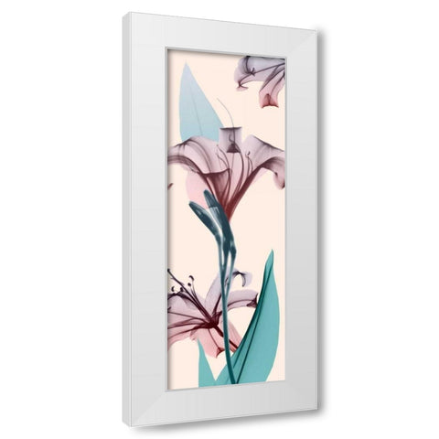 Spring Lily White Modern Wood Framed Art Print by Koetsier, Albert