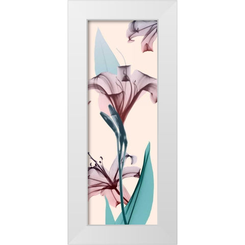 Spring Lily White Modern Wood Framed Art Print by Koetsier, Albert