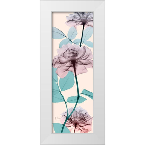 Spring Rose White Modern Wood Framed Art Print by Koetsier, Albert