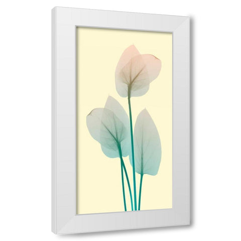 Blissful Bloom 1 White Modern Wood Framed Art Print by Koetsier, Albert