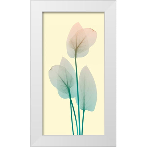 Blissful Bloom 1 White Modern Wood Framed Art Print by Koetsier, Albert