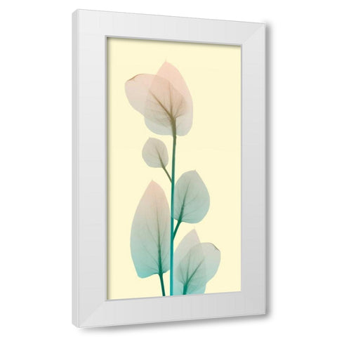 Blissful Bloom 2 White Modern Wood Framed Art Print by Koetsier, Albert