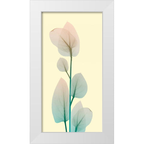 Blissful Bloom 2 White Modern Wood Framed Art Print by Koetsier, Albert