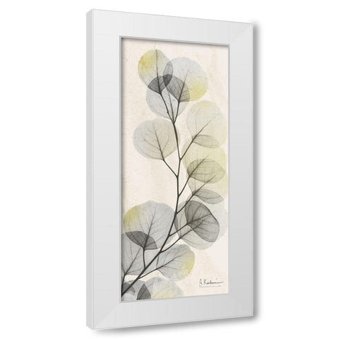 Eucalyptus Sunshine White Modern Wood Framed Art Print by Koetsier, Albert