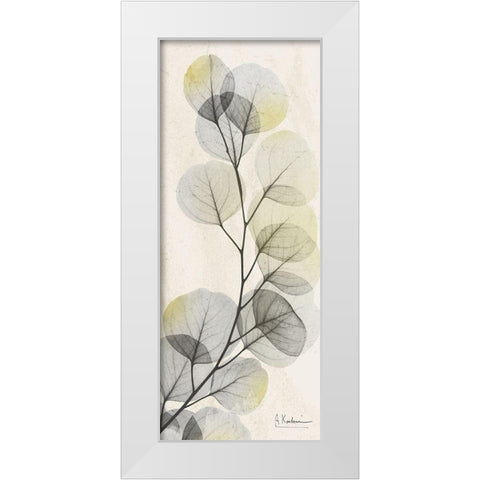 Eucalyptus Sunshine White Modern Wood Framed Art Print by Koetsier, Albert
