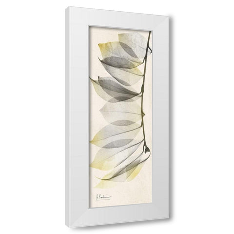 Camelia Sunshine White Modern Wood Framed Art Print by Koetsier, Albert