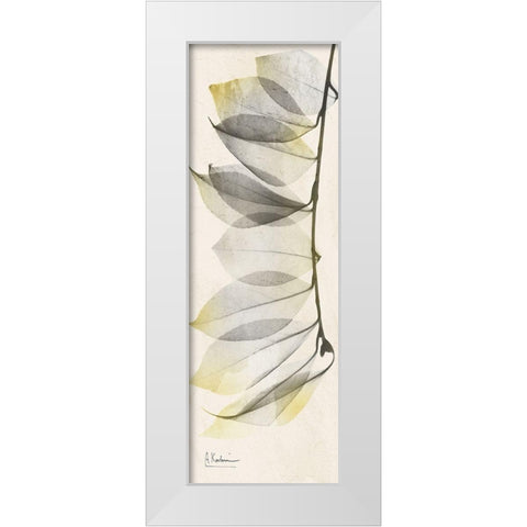 Camelia Sunshine White Modern Wood Framed Art Print by Koetsier, Albert