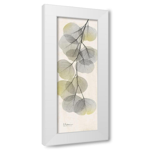 Eucalyptus Sunshine 2 White Modern Wood Framed Art Print by Koetsier, Albert