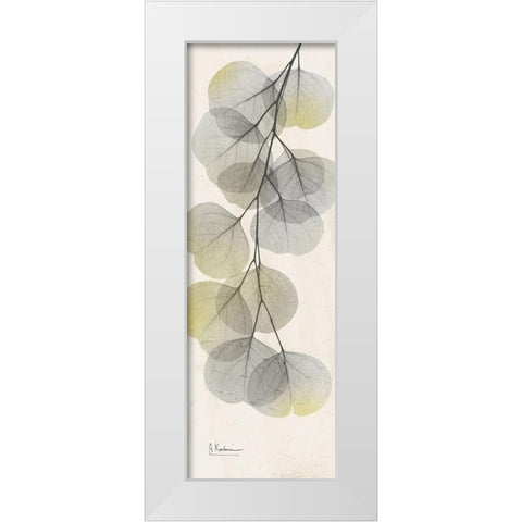 Eucalyptus Sunshine 2 White Modern Wood Framed Art Print by Koetsier, Albert