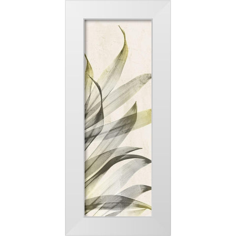 Sun of India White Modern Wood Framed Art Print by Koetsier, Albert