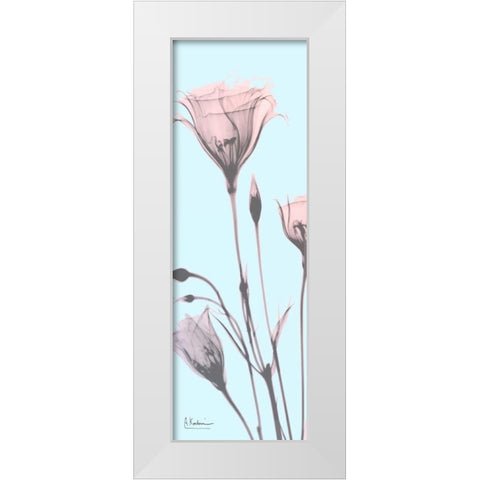 Gentian Paradise White Modern Wood Framed Art Print by Koetsier, Albert