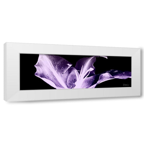 Violet Explosion 1 White Modern Wood Framed Art Print by Koetsier, Albert