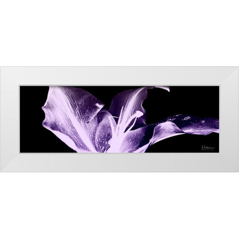 Violet Explosion 1 White Modern Wood Framed Art Print by Koetsier, Albert