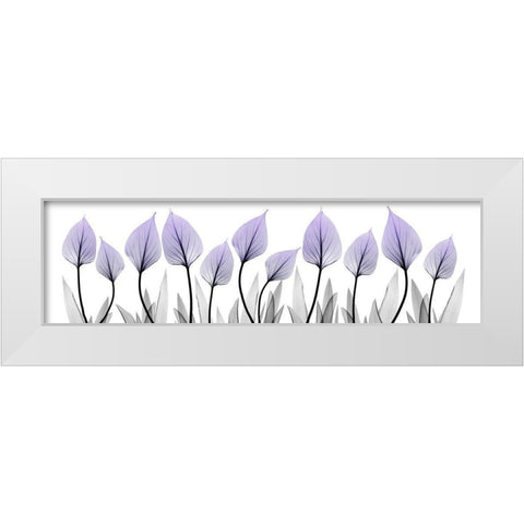 Violet Extension 1 White Modern Wood Framed Art Print by Koetsier, Albert