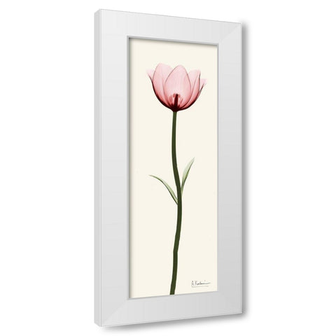 Standing Tall 1 White Modern Wood Framed Art Print by Koetsier, Albert