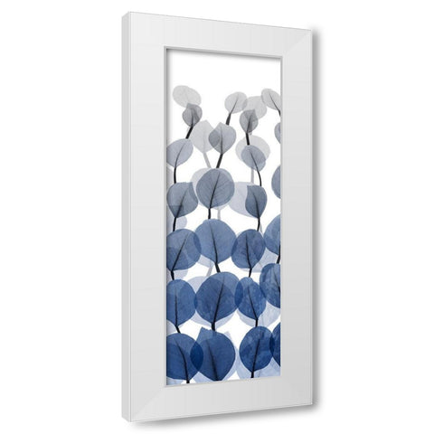 Sapphire Blooms On White 1 White Modern Wood Framed Art Print by Koetsier, Albert