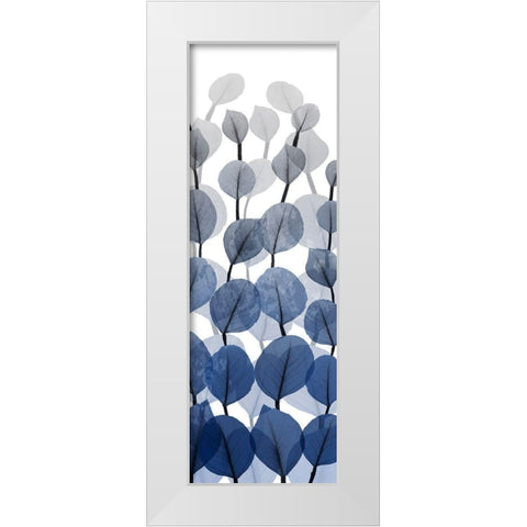 Sapphire Blooms On White 2 White Modern Wood Framed Art Print by Koetsier, Albert