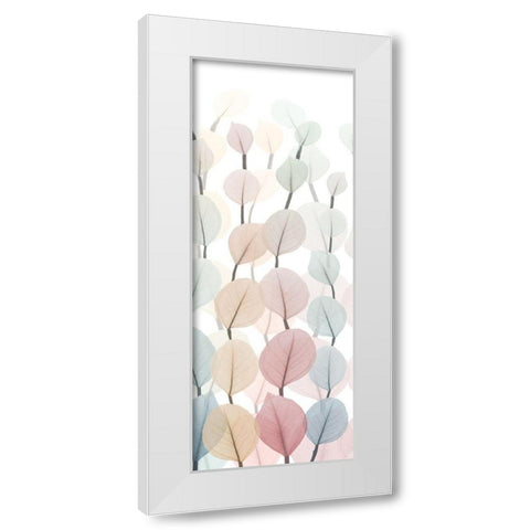 Sprouting Hues 1 White Modern Wood Framed Art Print by Koetsier, Albert