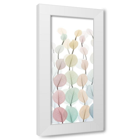 Sprouting Hues 2 White Modern Wood Framed Art Print by Koetsier, Albert