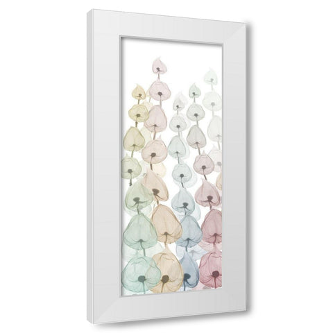 Sprouting Hues 4 White Modern Wood Framed Art Print by Koetsier, Albert