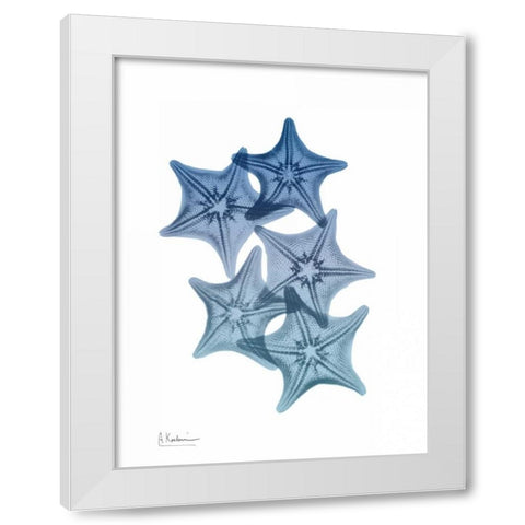 Tidal Starfish 1 White Modern Wood Framed Art Print by Koetsier, Albert