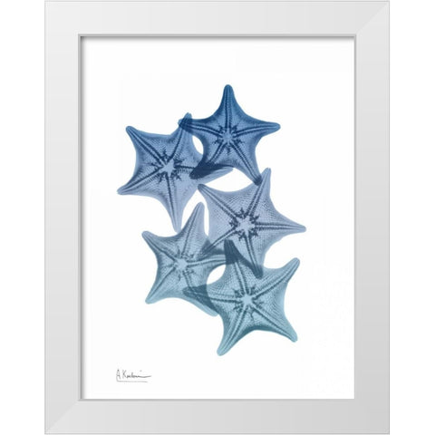 Tidal Starfish 1 White Modern Wood Framed Art Print by Koetsier, Albert
