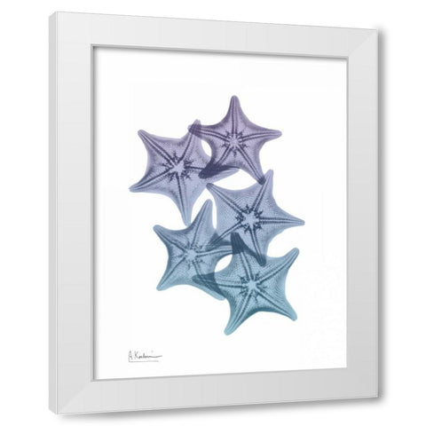 Lavender Splashed Starfish 1 White Modern Wood Framed Art Print by Koetsier, Albert