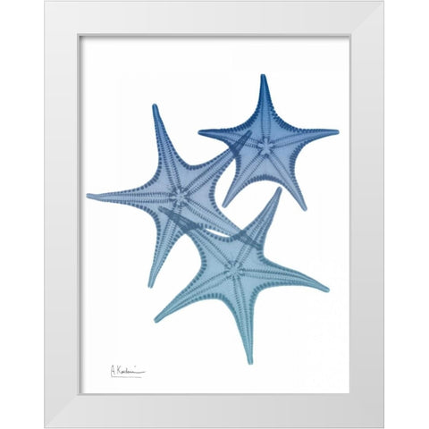 Tidal Starfish 2 White Modern Wood Framed Art Print by Koetsier, Albert