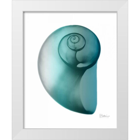 Water Snail 2 White Modern Wood Framed Art Print by Koetsier, Albert