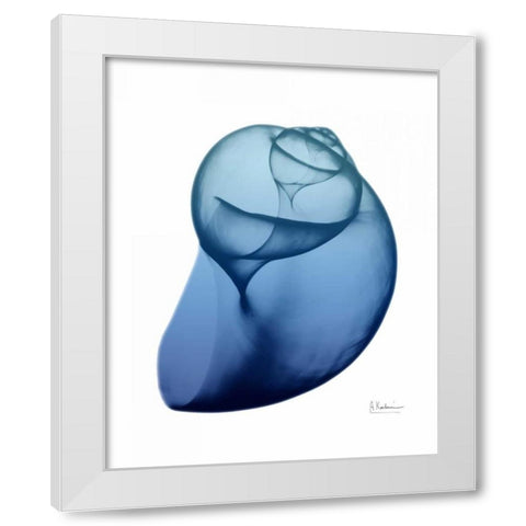 Scenic Water Snail 1 White Modern Wood Framed Art Print by Koetsier, Albert