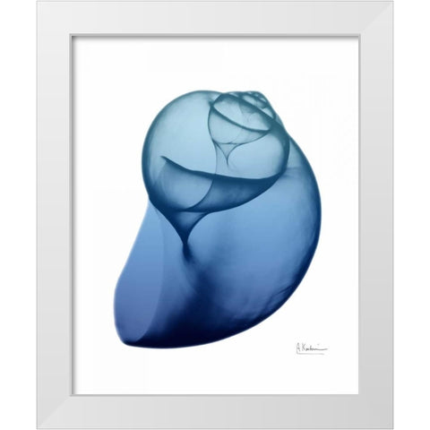 Scenic Water Snail 1 White Modern Wood Framed Art Print by Koetsier, Albert
