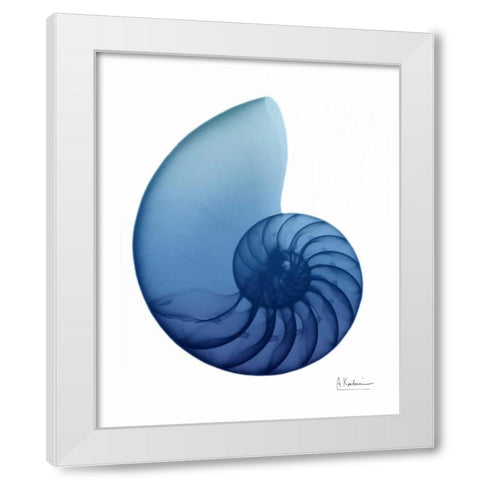 Scenic Water Snail 2 White Modern Wood Framed Art Print by Koetsier, Albert