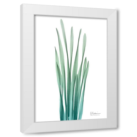 Radiant Hyacinth Leaf 2 White Modern Wood Framed Art Print by Koetsier, Albert