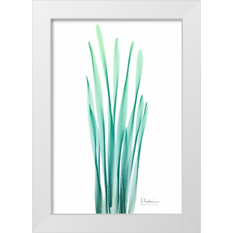 Radiant Bamboo Leaf White Modern Wood Framed Art Print by Koetsier, Albert