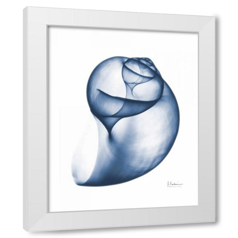 Indigo Water Snail White Modern Wood Framed Art Print by Koetsier, Albert