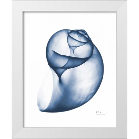 Indigo Water Snail White Modern Wood Framed Art Print by Koetsier, Albert