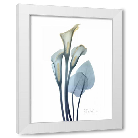 Gold Splash Calla Lily 2 White Modern Wood Framed Art Print by Koetsier, Albert