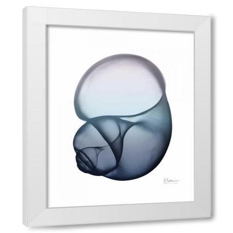 Lavender Snail 1 White Modern Wood Framed Art Print by Koetsier, Albert