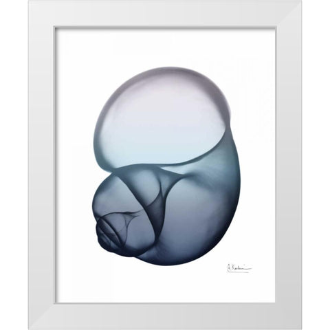 Lavender Snail 1 White Modern Wood Framed Art Print by Koetsier, Albert