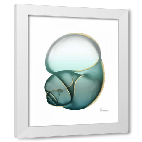 Shimmering Snail 1 White Modern Wood Framed Art Print by Koetsier, Albert