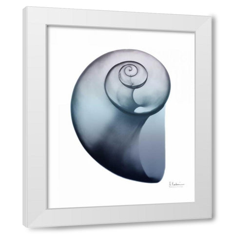 Lavender Snail 2 White Modern Wood Framed Art Print by Koetsier, Albert