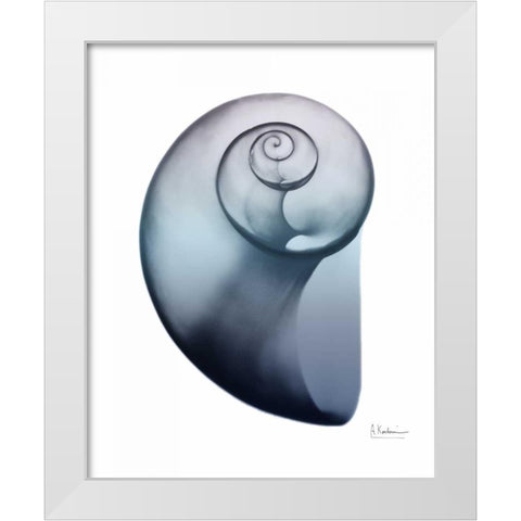 Lavender Snail 2 White Modern Wood Framed Art Print by Koetsier, Albert