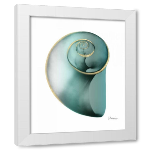 Shimmering Snail 2 White Modern Wood Framed Art Print by Koetsier, Albert