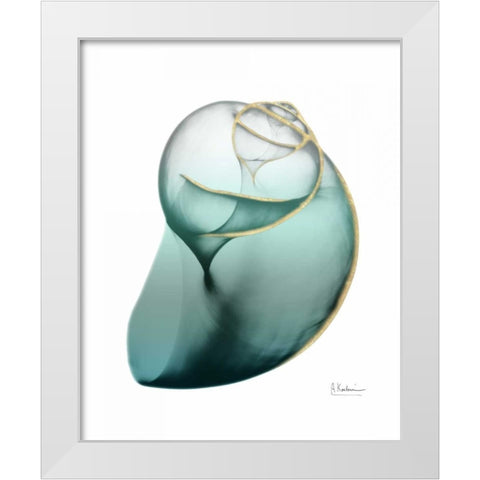 Shimmering Snail 3 White Modern Wood Framed Art Print by Koetsier, Albert