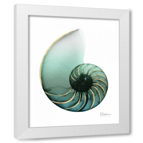 Shimmering Snail 4 White Modern Wood Framed Art Print by Koetsier, Albert