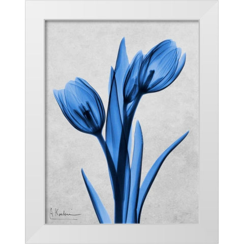 Midnight Tulips White Modern Wood Framed Art Print by Koetsier, Albert