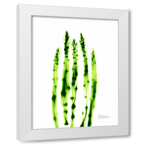 Asparagus Stock White Modern Wood Framed Art Print by Koetsier, Albert